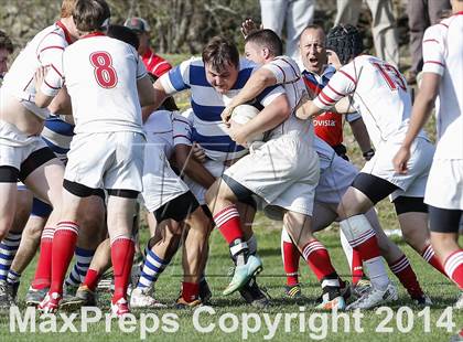 Thumbnail 1 in Darien @ Fairfield Prep photogallery.