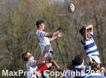 Thumbnail 3 in Darien @ Fairfield Prep photogallery.