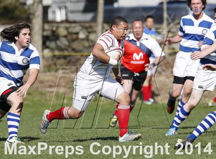Thumbnail 1 in Darien @ Fairfield Prep photogallery.
