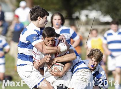 Thumbnail 3 in Darien @ Fairfield Prep photogallery.