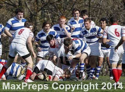Thumbnail 2 in Darien @ Fairfield Prep photogallery.