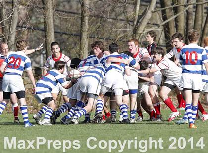 Thumbnail 3 in Darien @ Fairfield Prep photogallery.