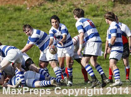 Thumbnail 3 in Darien @ Fairfield Prep photogallery.