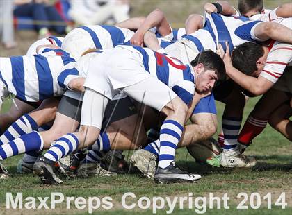 Thumbnail 1 in Darien @ Fairfield Prep photogallery.