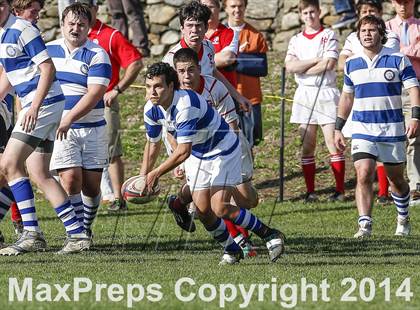 Thumbnail 2 in Darien @ Fairfield Prep photogallery.