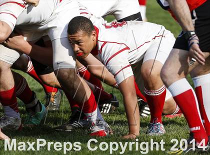 Thumbnail 2 in Darien @ Fairfield Prep photogallery.