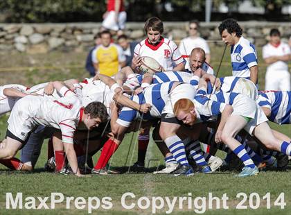 Thumbnail 2 in Darien @ Fairfield Prep photogallery.