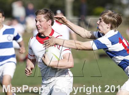 Thumbnail 2 in Darien @ Fairfield Prep photogallery.