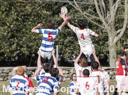 Thumbnail 1 in Darien @ Fairfield Prep photogallery.
