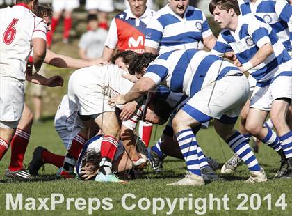 Thumbnail 2 in Darien @ Fairfield Prep photogallery.