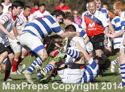Thumbnail 1 in Darien @ Fairfield Prep photogallery.