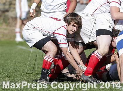 Thumbnail 3 in Darien @ Fairfield Prep photogallery.
