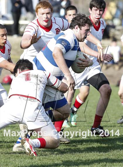 Thumbnail 1 in Darien @ Fairfield Prep photogallery.