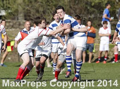 Thumbnail 2 in Darien @ Fairfield Prep photogallery.