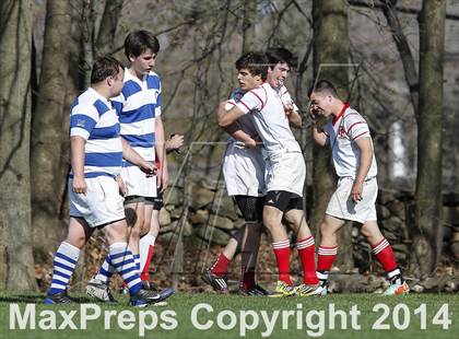 Thumbnail 2 in Darien @ Fairfield Prep photogallery.