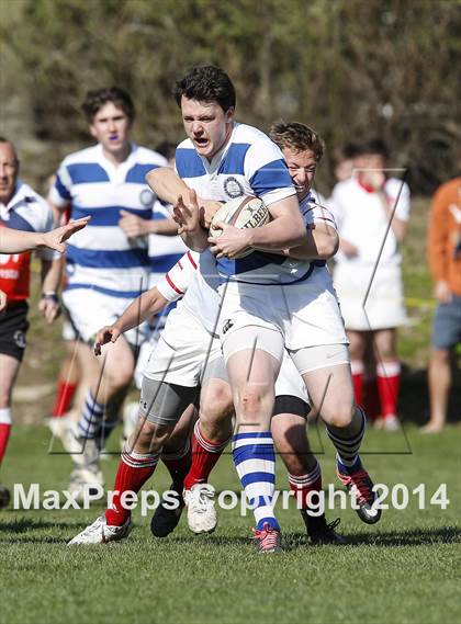 Thumbnail 1 in Darien @ Fairfield Prep photogallery.