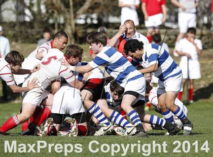 Thumbnail 2 in Darien @ Fairfield Prep photogallery.