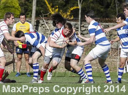 Thumbnail 2 in Darien @ Fairfield Prep photogallery.