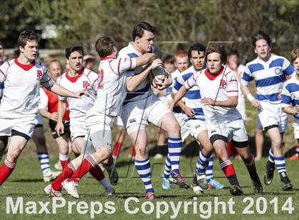 Thumbnail 2 in Darien @ Fairfield Prep photogallery.
