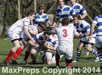 Thumbnail 3 in Darien @ Fairfield Prep photogallery.
