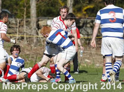 Thumbnail 3 in Darien @ Fairfield Prep photogallery.