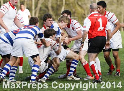Thumbnail 3 in Darien @ Fairfield Prep photogallery.