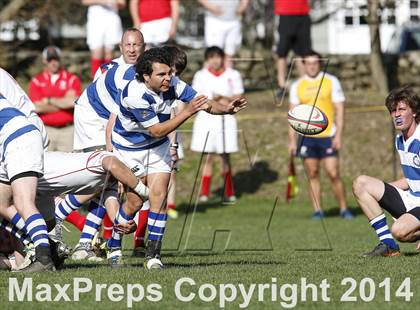 Thumbnail 3 in Darien @ Fairfield Prep photogallery.