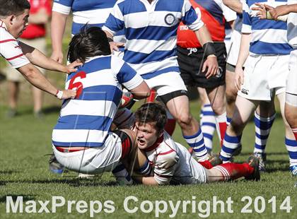 Thumbnail 1 in Darien @ Fairfield Prep photogallery.