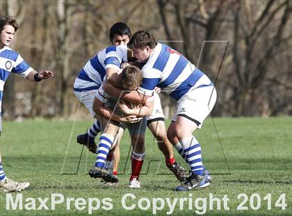 Thumbnail 2 in Darien @ Fairfield Prep photogallery.