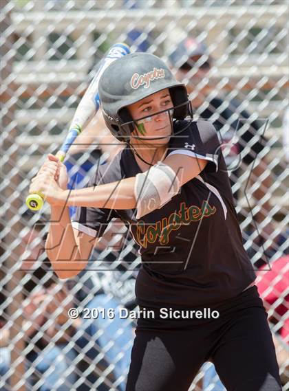 Thumbnail 3 in Campo Verde vs. Desert Ridge (AIA D1 Playoff)  photogallery.