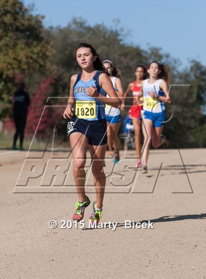 Thumbnail 1 in CIF State Cross Country Championships (D1 Girls Race) photogallery.