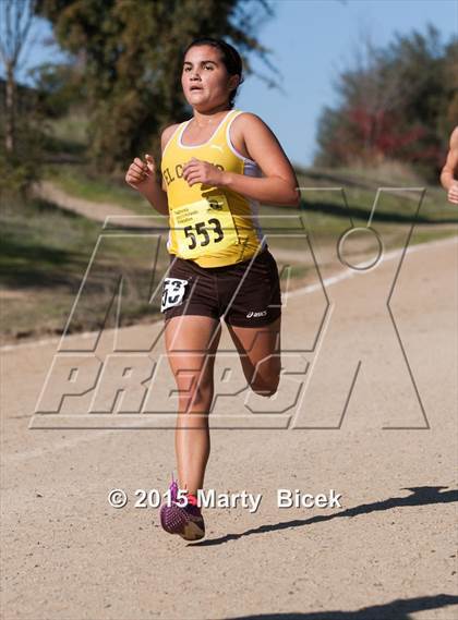 Thumbnail 2 in CIF State Cross Country Championships (D1 Girls Race) photogallery.