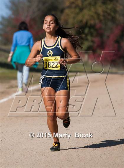 Thumbnail 3 in CIF State Cross Country Championships (D1 Girls Race) photogallery.