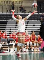 Photo from the gallery "Ridgeline vs. Owyhee"