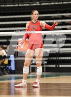 Photo from the gallery "Ridgeline vs. Owyhee"