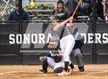 Photo from the gallery "Sunny Hills @ Sonora"