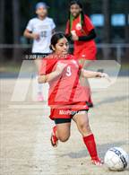 Photo from the gallery "Gray's Creek @ Seventy-First"