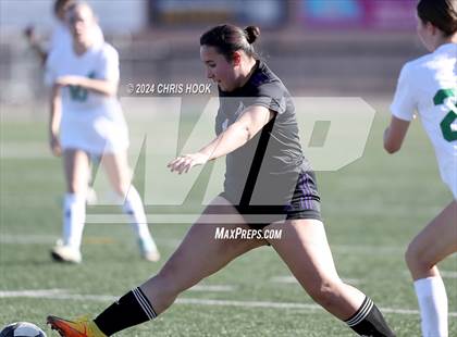 Thumbnail 3 in Rincon/University vs Canyon del Oro (Brandon Bean Soccer Tournament) photogallery.