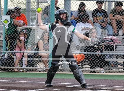 Thumbnail 1 in Adams @ Poteet photogallery.