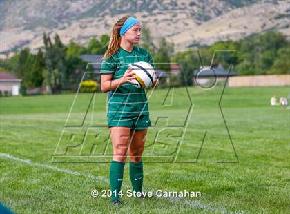 Thumbnail 1 in Hillcrest @ Viewmont photogallery.