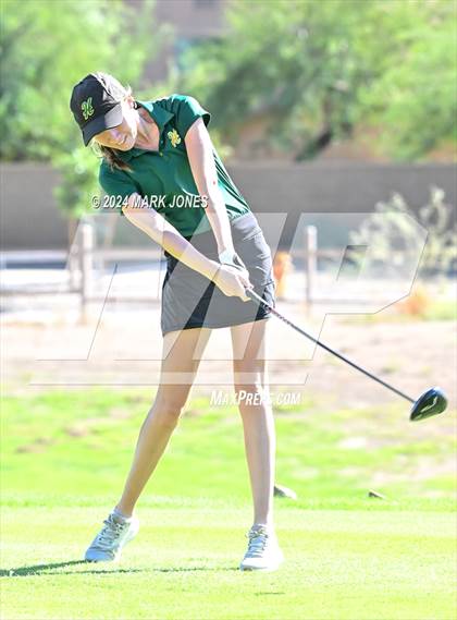 Thumbnail 1 in AIA DII Girls State Championships photogallery.