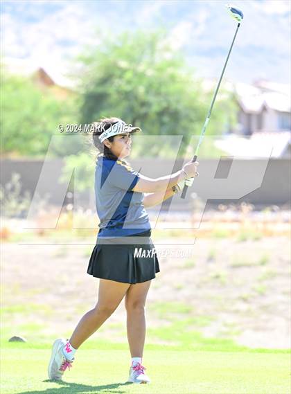 Thumbnail 1 in AIA DII Girls State Championships photogallery.