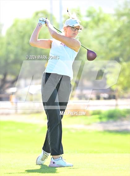 Thumbnail 1 in AIA DII Girls State Championships photogallery.