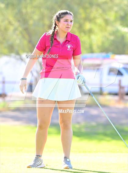 Thumbnail 2 in AIA DII Girls State Championships photogallery.