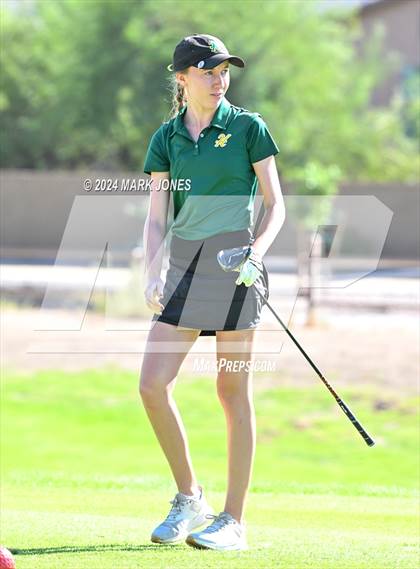 Thumbnail 2 in AIA DII Girls State Championships photogallery.