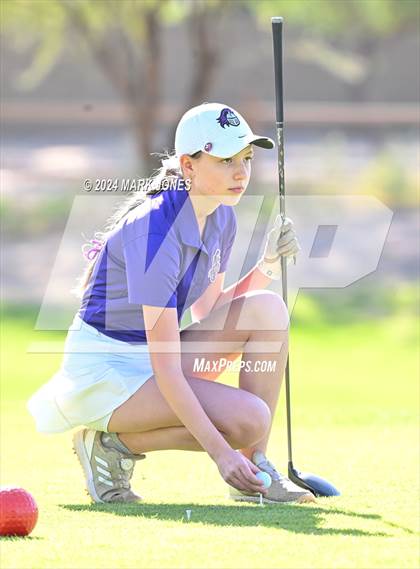 Thumbnail 2 in AIA DII Girls State Championships photogallery.
