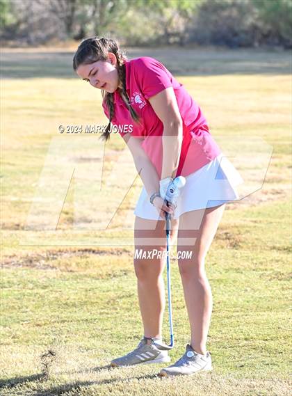 Thumbnail 3 in AIA DII Girls State Championships photogallery.