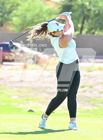 Thumbnail 2 in AIA DII Girls State Championships photogallery.