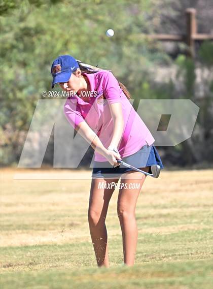Thumbnail 2 in AIA DII Girls State Championships photogallery.