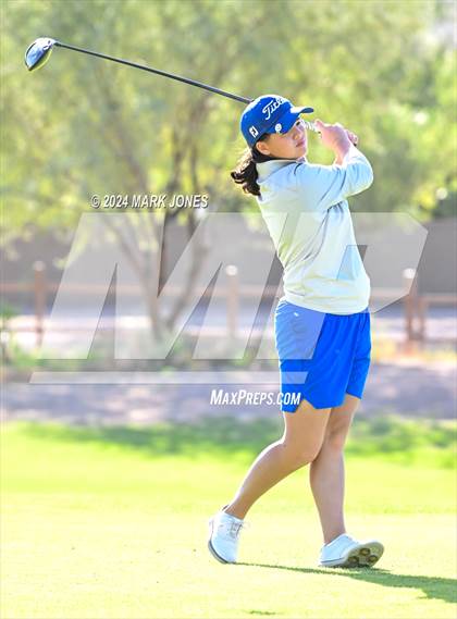 Thumbnail 1 in AIA DII Girls State Championships photogallery.